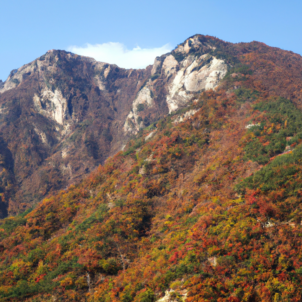 10가지 심리학적 요령으로 더 행복한 삶 살기